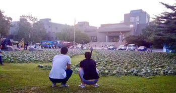 河南美院吃瓜事件视频,校园风波背后的真相揭晓