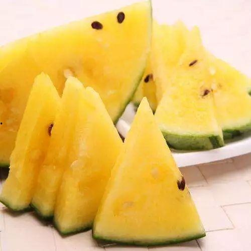 新疆哪里有雪瓜吃呀视频,品尝冬日里的甜蜜滋味