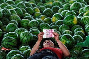 合肥地产吃瓜事件视频最新,揭秘背后真相与争议