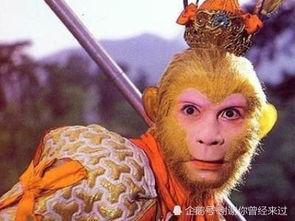 孙悟空吃瓜中毒视频,揭秘神奇动物界的神秘瓜果之谜