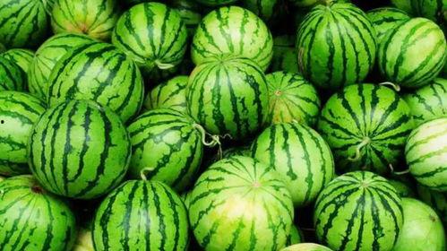 云南新兴职业吃瓜视频,吃瓜视频背后的经济现象解析