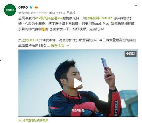 吃瓜群众小悦悦视频全集,一场引发社会关注的吃瓜群众围观事件