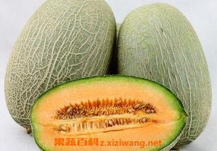 小陈吃哈密瓜图片高清视频,甜蜜瞬间，高清记录