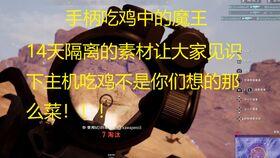 呆瓜吃鸡的视频