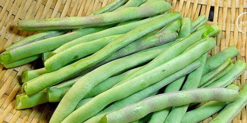 刘大瓜吃四季豆视频,趣味横生美食体验